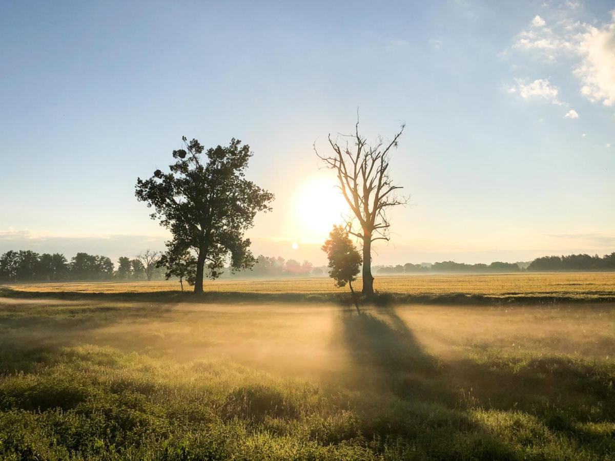 Dwór Gogolewo nad Wartą Ksiaz Wielkopolski Exterior foto